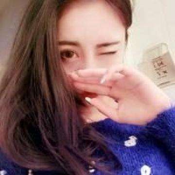 果盘小小驯龙师手游下载